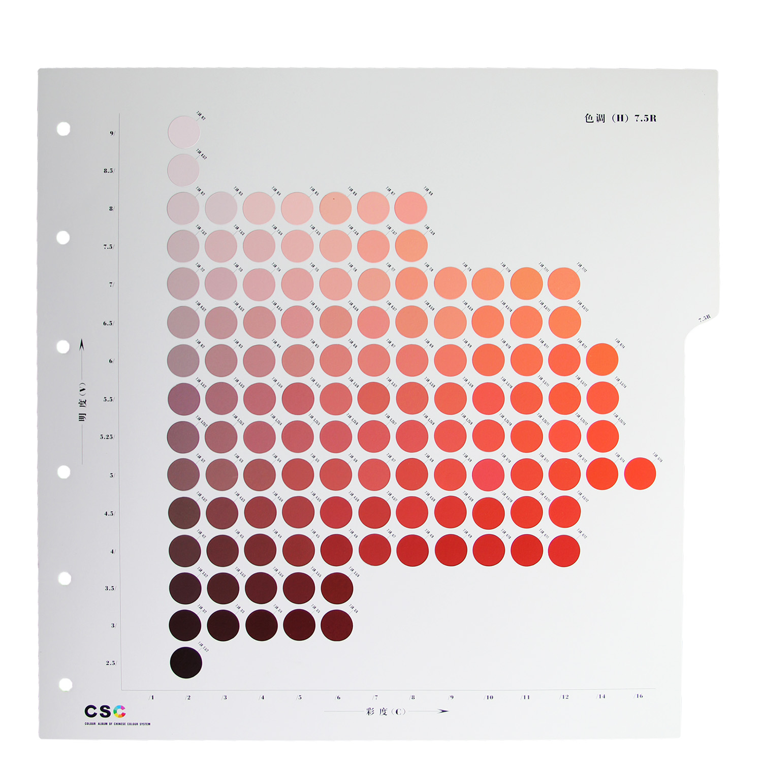 GSB 中国颜色体系标准样册(5139色)